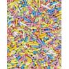 Pastel Rainbow Sprinkles – Dye-Free, Allergen-Free, Plant-Based Colors, 2.9 lb Canister – India Tree Nature’s Colors(24 oz)