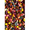 India Tree Nature’s Colors Natural Rainbow Confetti Cake Decorations, 2.3 oz | Naturally Colored Baking Sprinkles for Cakes and Cookies, Top 9 Allergen Free, Red 3 Free, Made Without Artificial Dyes(2.8 Ounce)