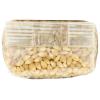 India Tree, Popping Corn Paloma Blanca, 1 LB(16 Ounce (Pack of 1))